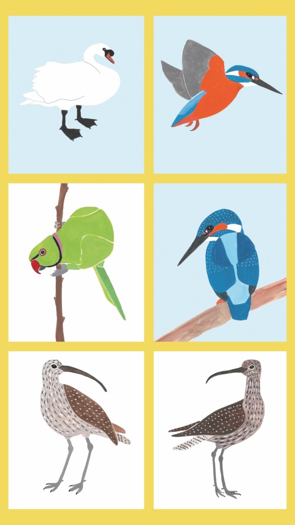 6 different illustrations of birds on a yellow background: Mute Swan, Kingfisher flying, Kingfisher perched, 2 Curlew, Ring-necked Parakeet on a branch.