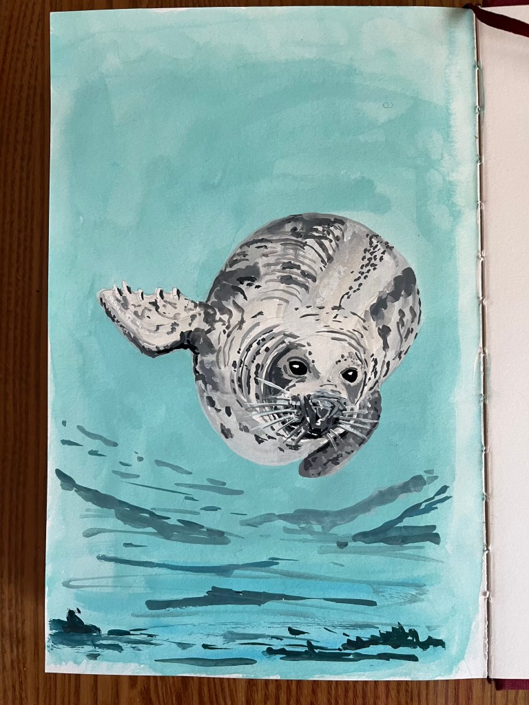 gouache painting of a grey seal looking at the viewer, in blue water