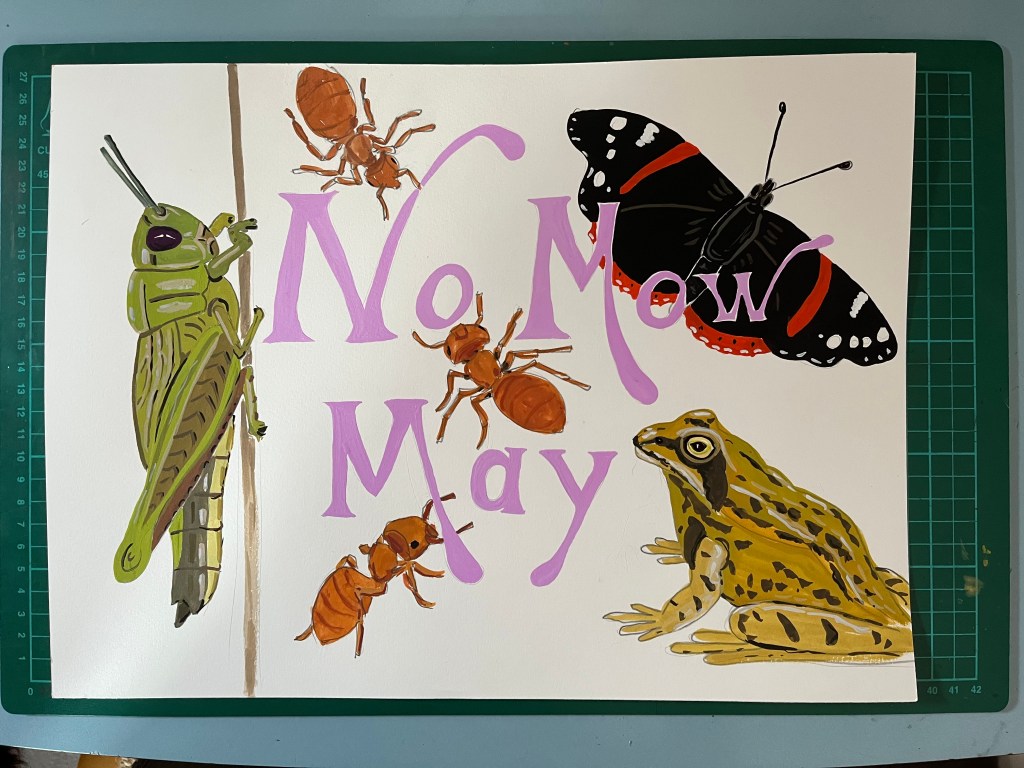 Illustration of the No Mow May campaign including a grasshopper, ants, butterfly and a frog with the wording across the centre in pink letters.