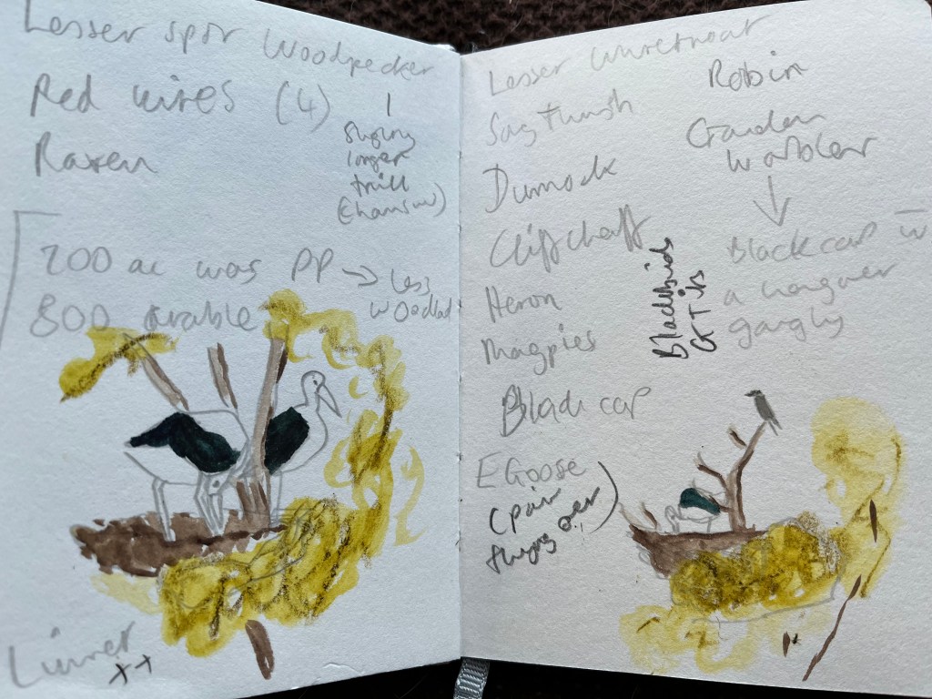 Sketchbook pages with writing and small paintings. 