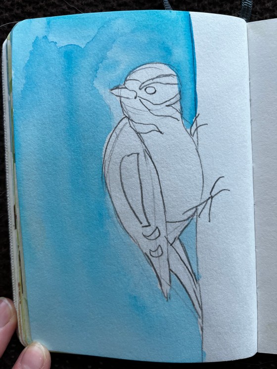 unfinished painting of a Lesser Spotted Woodpecker