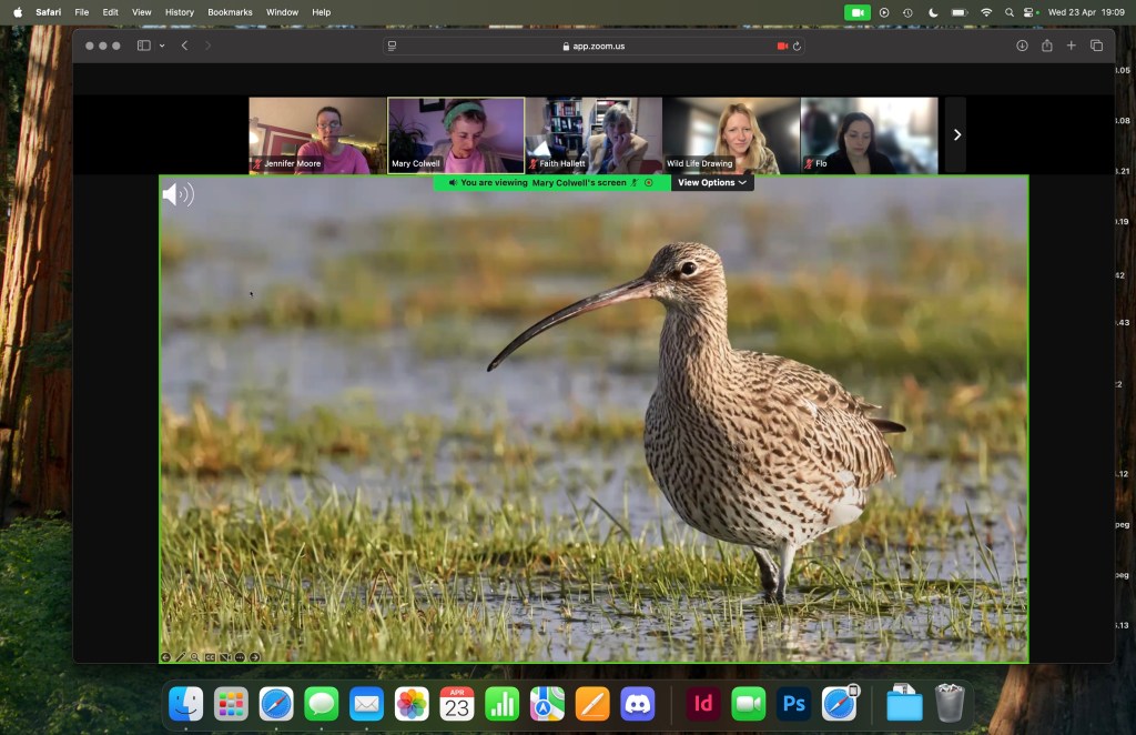 screenshot of a Curlew