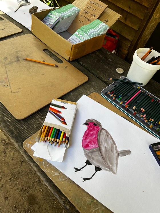 photo of a painting of a Robin with birdwatching logbooks and art materials behind