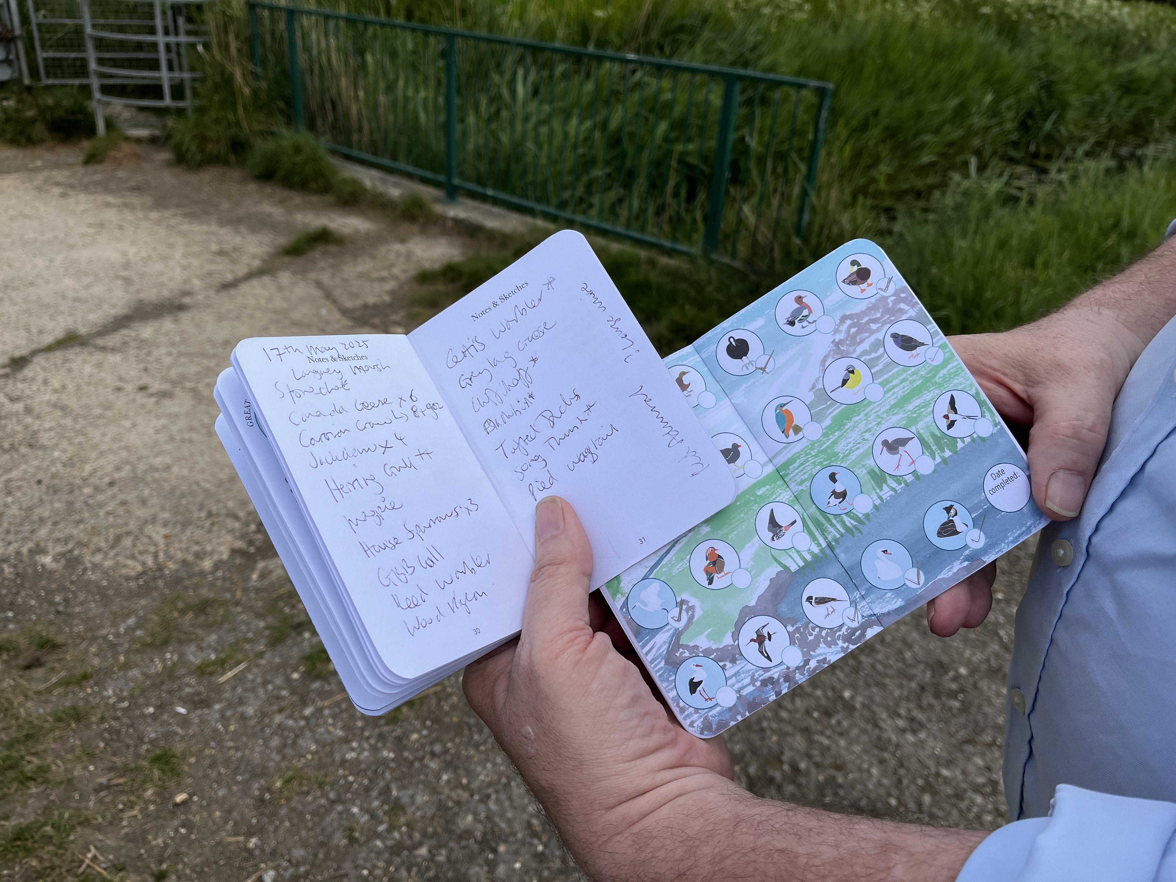 Birdwatching logbooks partly filled in