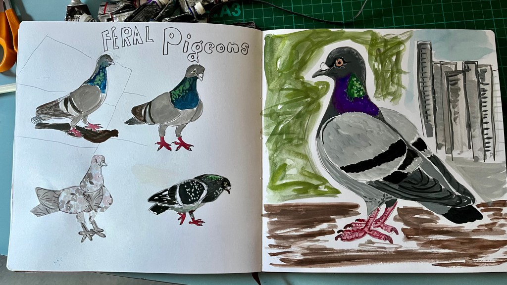 Sketchbook paintings of Feral Pigeons.