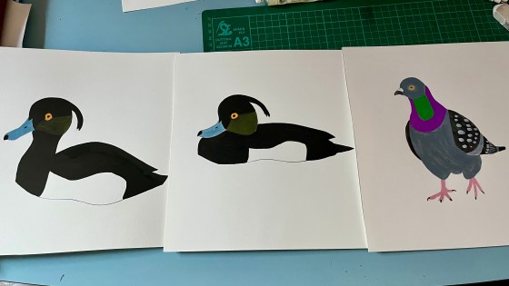Duck and pigeon illustrations in gouache