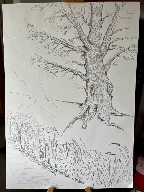 Pencil drawing of a tree and vegetation