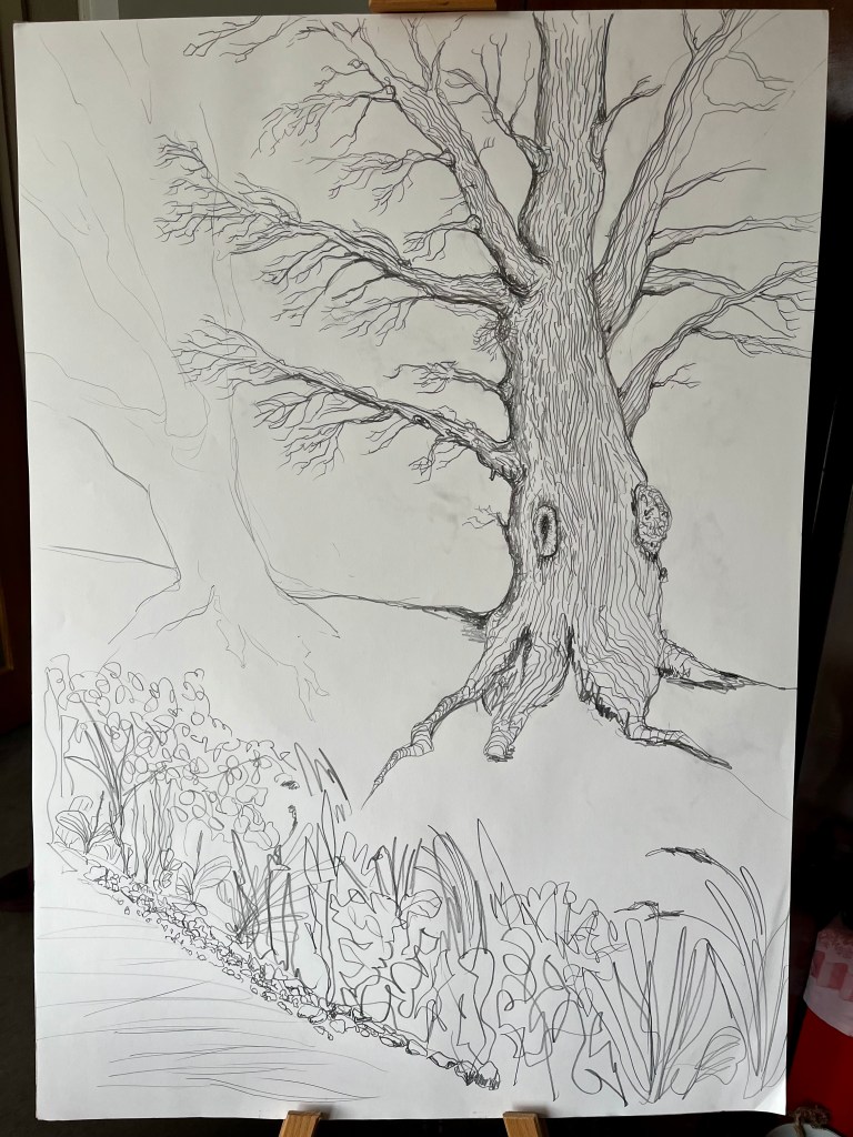 Pencil drawing of an oak tree with vegetation along the base.