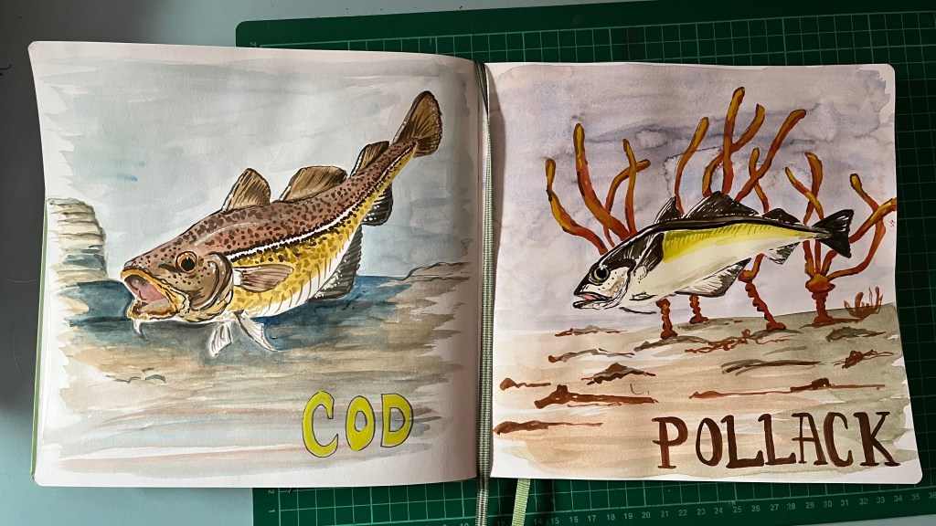 Sketchbook paintings of British fish.