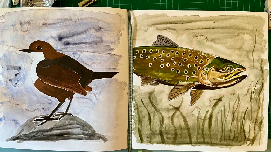 sketchbook paintings of British river wildlife