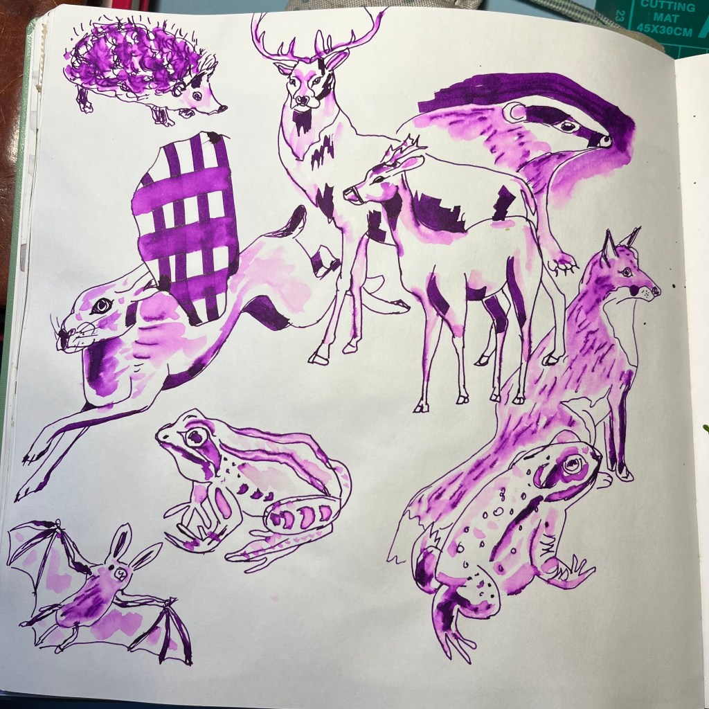 Ink drawings of British animals