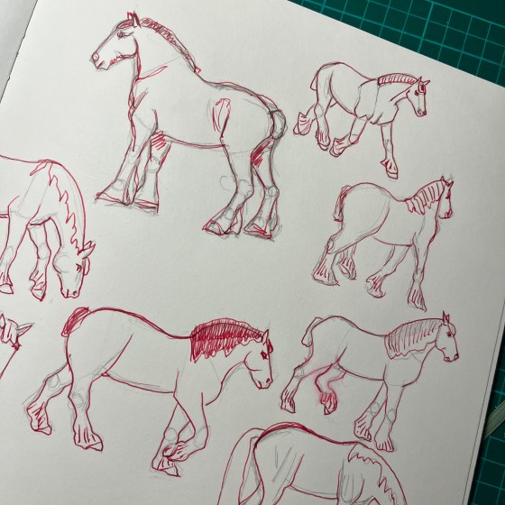 pink ponies