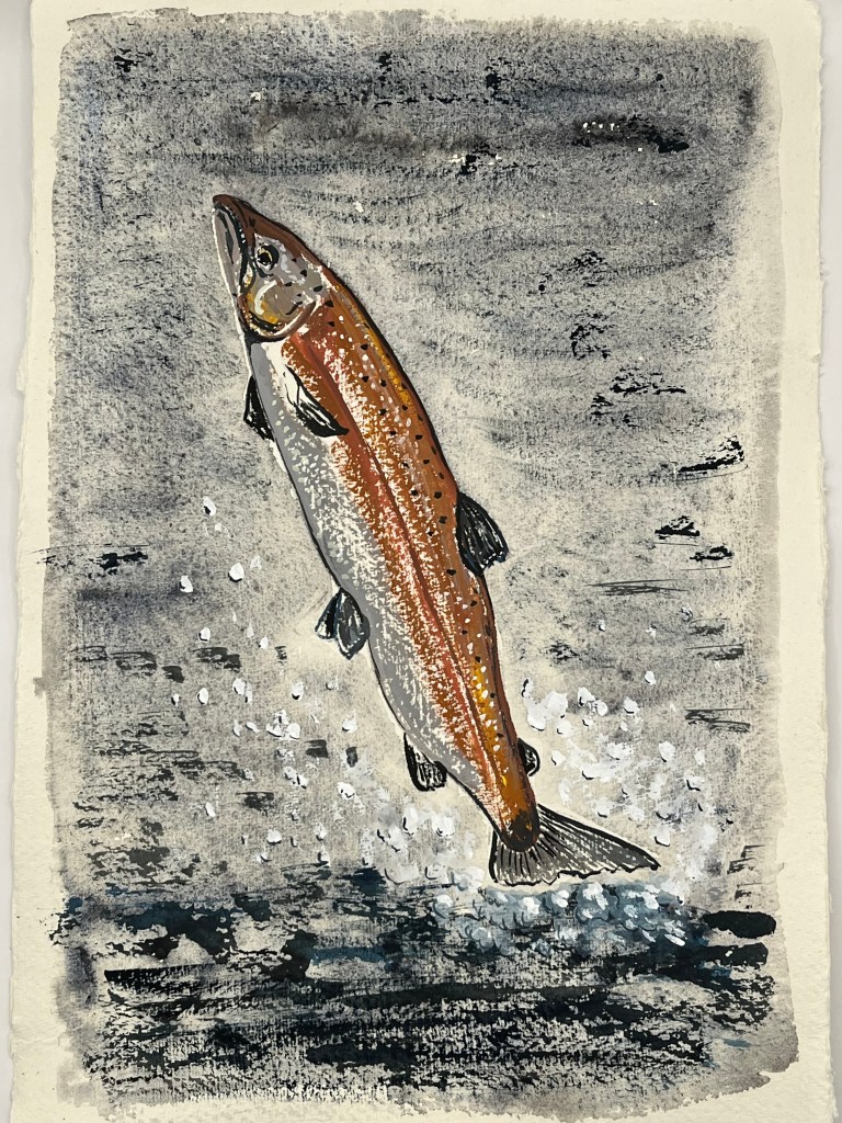 Atlantic salmon gouache painting