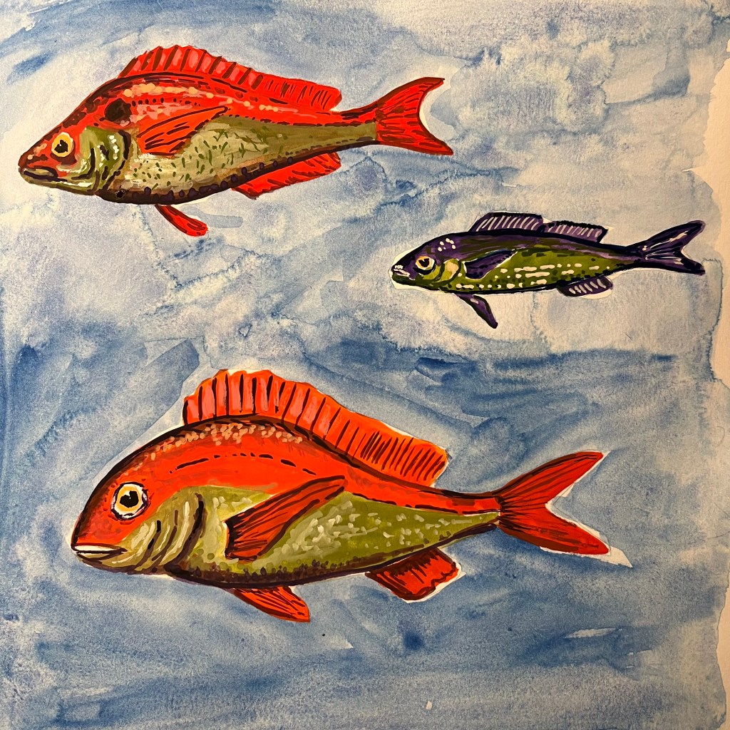 2 sea bream and bogue painted in a sketchbook with a blue background