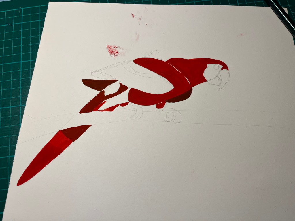 Half-finished illustration of a Scarlet Macaw with a paw print above 