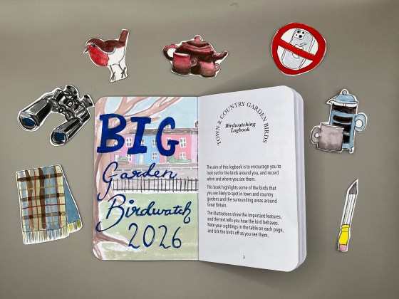 Photo of Town & Country Garden Birds birdwatching logbook with collage motifs around