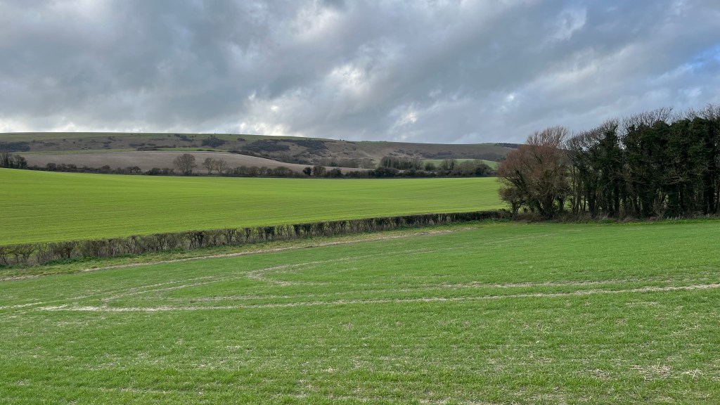 Photo of the South Downs in winter