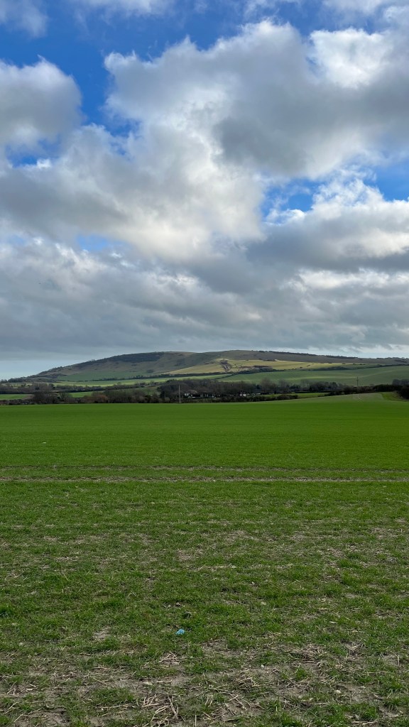 Photo of the South Downs near Berwick