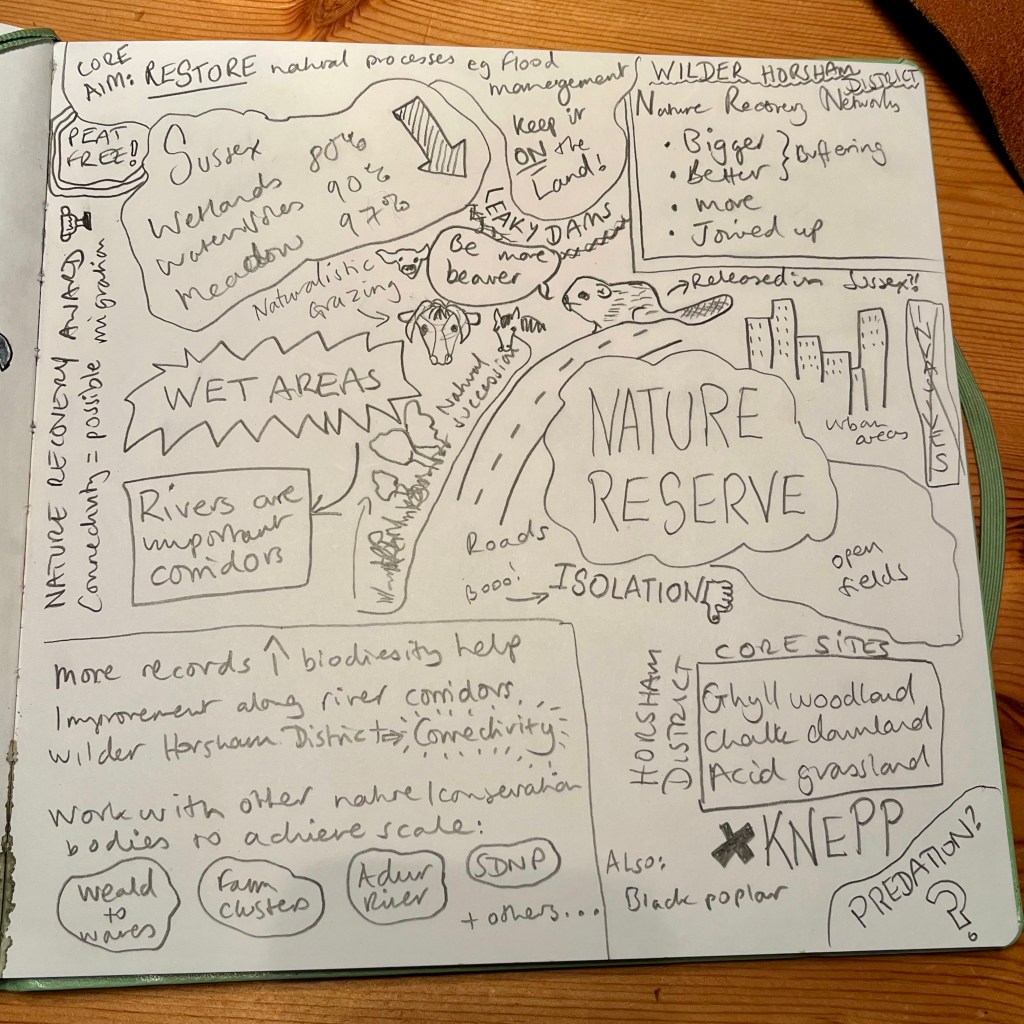 Page of drawings and notes about the core elements of a nature restoration webinar 