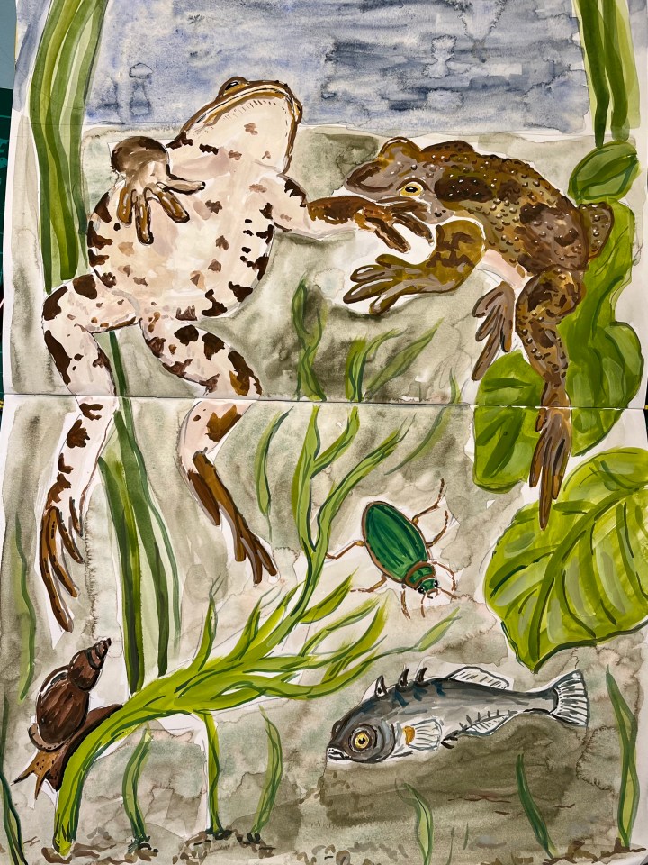 An ode to&nbsp;toads