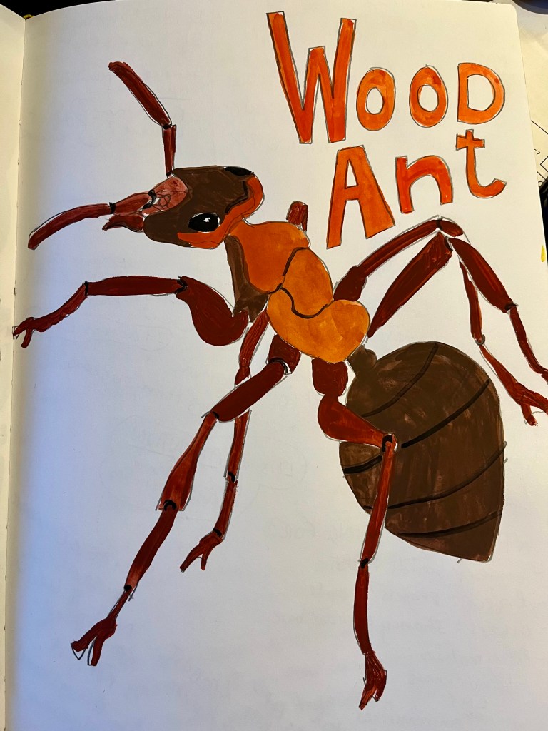 Painting of a wood ant in a sketchbook with handwritten text above