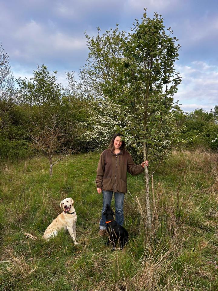 A rare tree and&nbsp;me