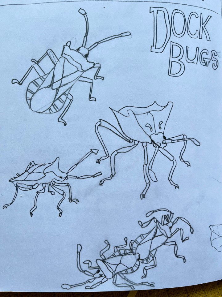 Dock Bugs