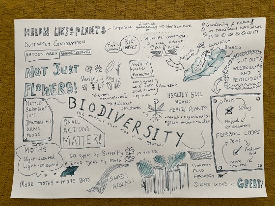 Live illustration of a poster for gardening with butterflies and moths