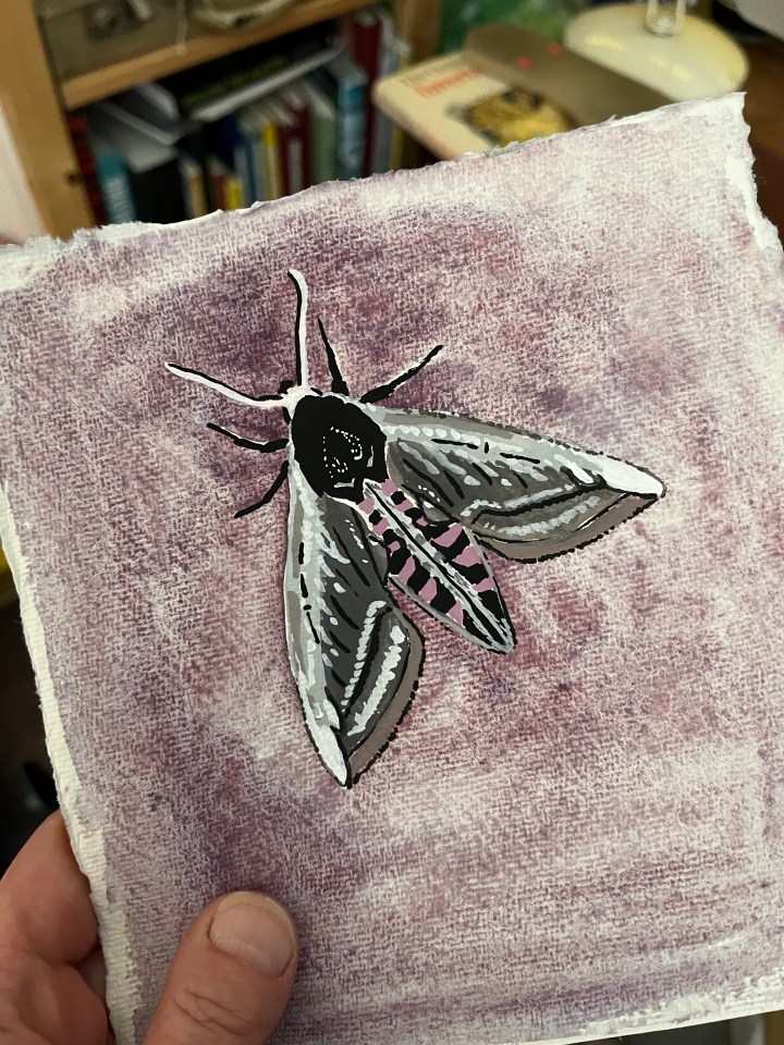 A catch up, and new&nbsp;projects