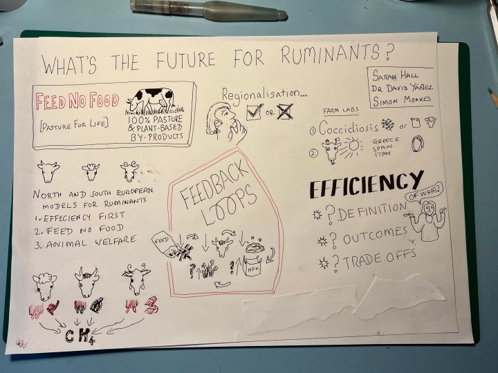 Graphic Recording Course